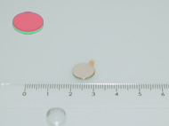 10x2 mm N35 �ntapad�s NEODYM m�gnes korong